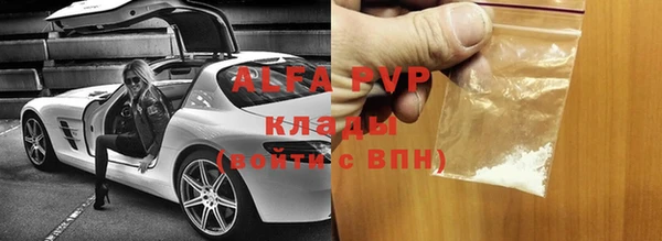 твердый Абаза
