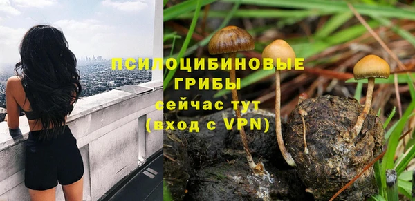 твердый Абаза