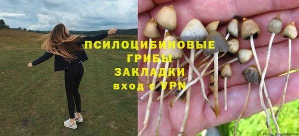 твердый Абаза